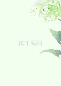 绿色花卉海报背景图片_绿色时尚水彩花卉壁纸