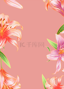 粉色精致花卉边框背景