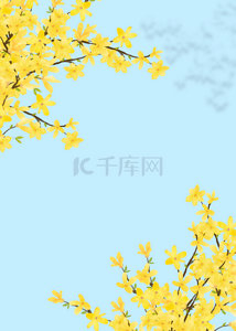 春季简单背景图片_蓝色花卉黄色春季背景