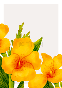 边框绿色黄色背景图片_杏色高端植物创意边框背景