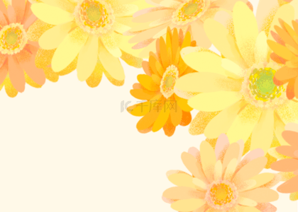 春季黄色花卉干净背景