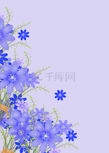 紫色干净背景图片_紫色干净花卉背景