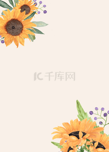 浅杏色精致花卉向日葵背景