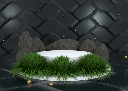黑色质感背景带有植物的产品展示台 3d渲染