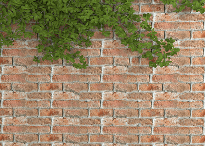 与绿色植物的现代石砖墙背景石材质地