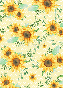 黄色向日葵花朵与条纹背景