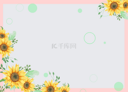 花卉向日葵背景图片_粉色边框向日葵简约背景