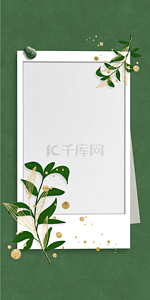 手机绿色背景背景图片_简约宝丽来相纸金箔植物手机壁纸背景
