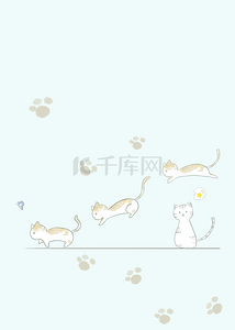 可爱小猫跳跃玩耍