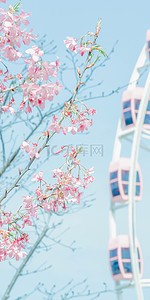 春天手机壁纸背景图片_粉色樱花手机壁纸摩天轮背景