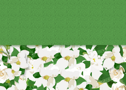 绿色格调花卉卡片背景
