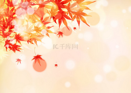光效可爱背景图片_红黄色可爱树叶秋季叶子光效背景
