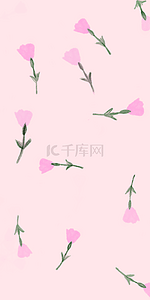 粉色花朵手机壁纸