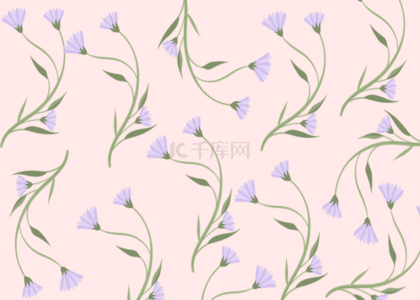 紫色花卉干净植物背景