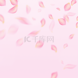 粉色极简主义花瓣背景