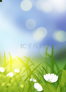 亮光蓝色背景图片_蓝色和绿色春天光效花卉背景