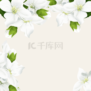 米色时尚茉莉花创意边框背景