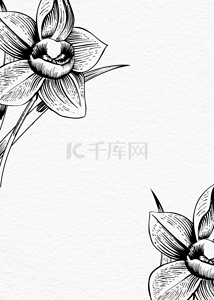 黑白线条花朵背景图片_高端精美黑白花朵背景