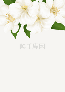 米色花卉浪漫植物背景