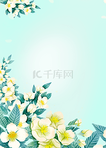 泰国蓝色背景图片_泰国茉莉花节日花卉背景