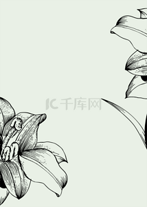 创意植物花卉背景图片_绿色创意植物花卉线条背景