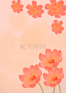 红色花卉植物背景图片_红色水彩晕染菊花花卉植物背景