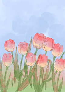 水彩渐变花卉背景图片_粉红色水彩渐变抽象郁金香花朵背景