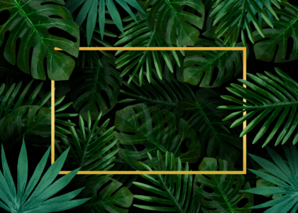 棕榈叶边框背景图片_植物绿色棕榈叶背景