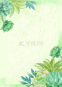 绿色芦荟多肉植物背景