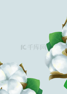 mac桌面免费背景图片_绿色简约植物棉花叶子壁纸