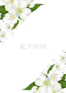 浪漫浅色背景图片_时尚浅色花卉植物背景