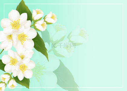 唯美花卉背景图片_泰国母亲节唯美花卉茉莉花简约背景