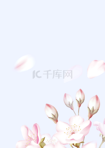 花卉樱花背景图片_蓝色浪漫花卉时尚背景