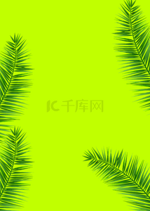 绿色纯色质感植物背景