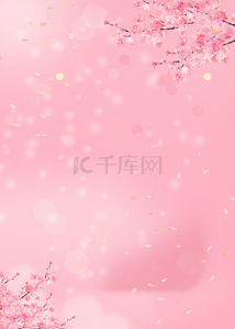 粉色樱花飘落花卉背景