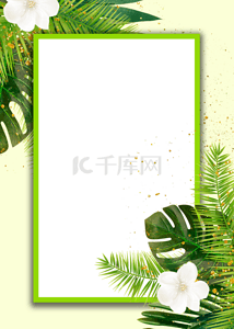 简单金色边框背景图片_植物棕榈花朵简单背景