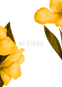创意精美黄色花卉背景