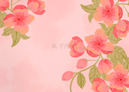 粉色水彩晕染樱花花卉植物背景