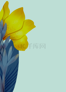 蓝色植物花卉背景图片_灰绿色高端植物花卉背景