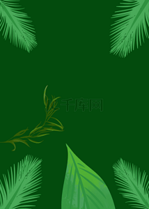 绿色植物纹理背景图片_立春绿色植物干净背景