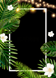 棕榈背景背景图片_植物绿色叶子棕榈背景