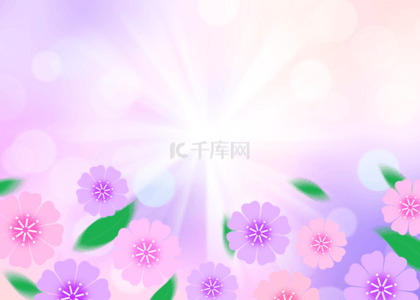 春天花朵紫色背景