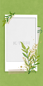 胶带背景图片_回形针宝丽来相纸金箔植物手机壁纸背景