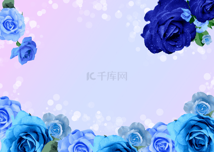 蓝色花卉渐变光斑玫瑰花背景