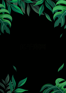 黑色质感绿色热带植物背景