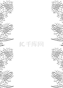 剪纸花卉边框背景图片_白色优雅剪纸风格花卉边框背景