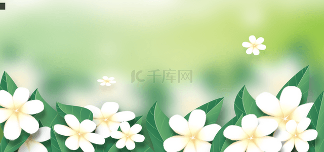 春天桌面背景背景图片_春天光效精致的白色花卉背景