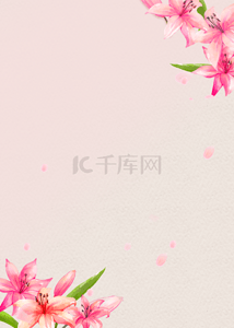 杏色渐变花卉花瓣背景