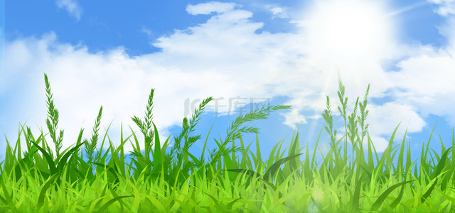 春天光效绿色草地背景