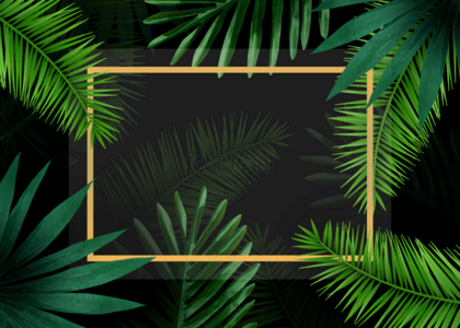 棕榈背景背景图片_叶子植物棕榈背景